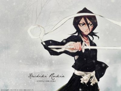 largeanimepaperwallpapers-bleach-il_4.jpg